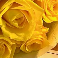 みさき (@misa_gyodon) Twitter profile photo