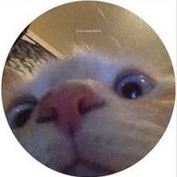 Marsik врлм (@marsiik_2k) 's Twitter Profile