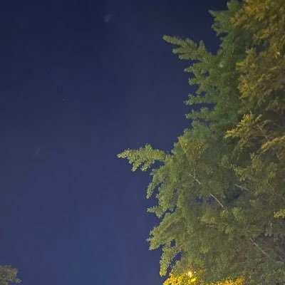 brezzaautunnale's profile picture. すきなものを見るだけ