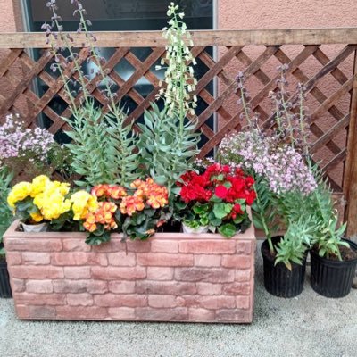 maimomo1225's profile picture. 