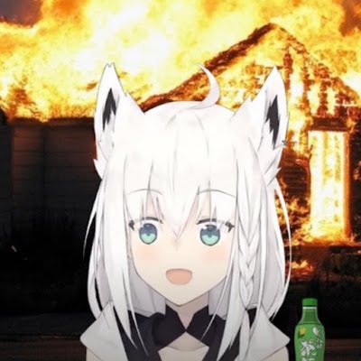 KitsuOnAsacoco's profile picture. 