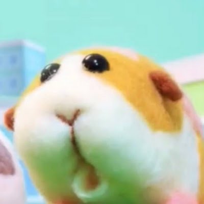 HoHUvQf74g67835's profile picture. 