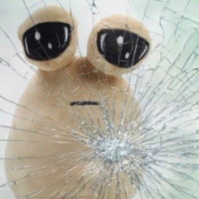 renさんのプロフィール画像