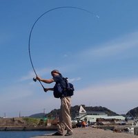 熱きホゲリスト (@pig1010steak) 's Twitter Profile Photo