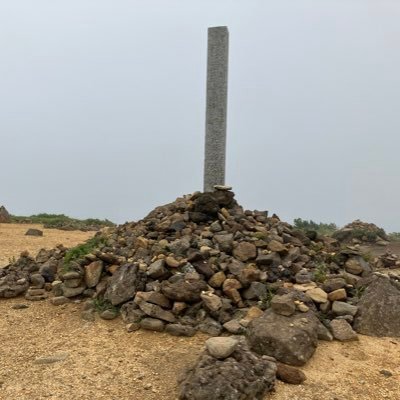 karehanozikken's profile picture. フォローしまくるとフォローワーは増えるのか？！