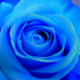 Kate Manning (@manning_ka16826) Twitter profile photo Kate Manning (@manning_ka16826) Twitter profile photo