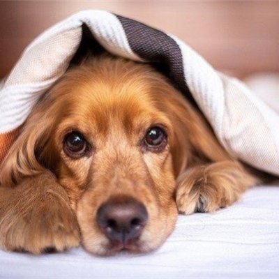 副業の成功法を発信中。副業初心者に役立つ情報を提供。小規模ですが10万円プレゼント企画もしております♬ 期間限定▶ https://t.co/TtBVn7J7Aq