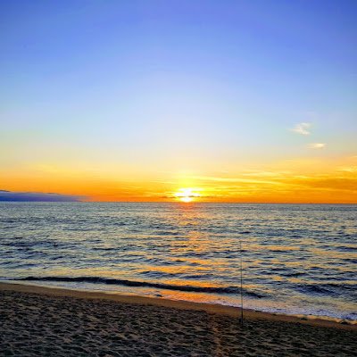 PeoplePoliticUK's profile picture. 