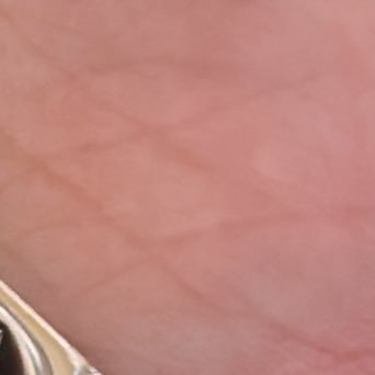 seitosan5050's profile picture. 