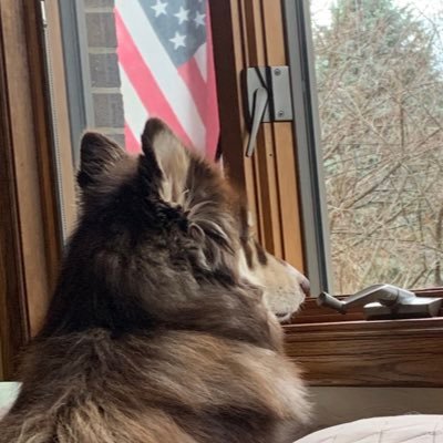 RantPaige's profile picture. God🙏🏼 Family🏠 Country 🇺🇸 America 1st ~ Seeking truth, trusting God ~ Happily married ~ Introvert 🚫DMs—I DO NOT REPLY 🚫Lists