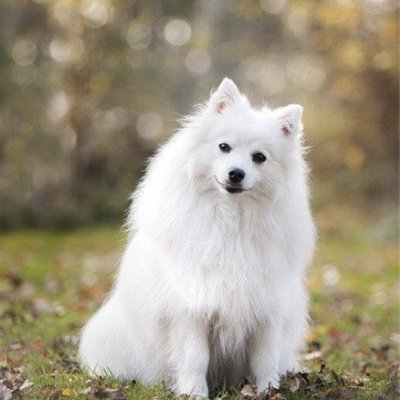 keiko1786594's profile picture. 副業の成功法を発信中。副業を始めたい人に有益な情報を発信。少額ですが現金配布企画も始めました！ 詳しくはコチラ▶ https://t.co/R4STpsst9Y