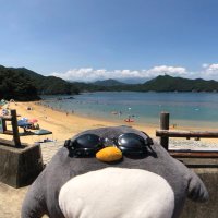 そぅたろ (@kimussou) Twitter profile photo