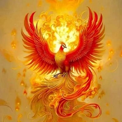 z1PtQGD6L145718's profile picture. 