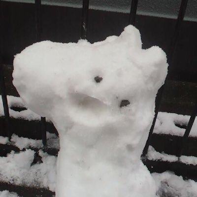 こまこさんのプロフィール画像