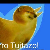 X (@dilo_sin_llorar) 's Twitter Profile Photo X (@dilo_sin_llorar) 's Twitter Profile Photo