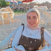 Amany Sarhan (@amanyahmedsarh1) 's Twitter Profile