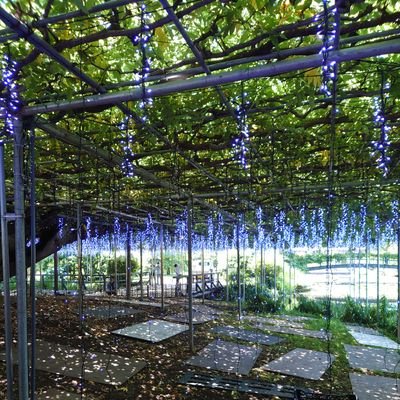 mudmudmudmudm's profile picture. 