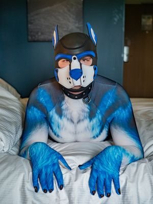 AD account of a young furry living to Geneva , Switzeland.
28 / Kinks :🧦 (white or grey) ; musk ; bondage ; jockstraps and more. Love to make new friends