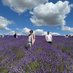 Hoofa (@hoofaband) Twitter profile photo Hoofa (@hoofaband) Twitter profile photo