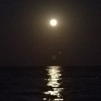Serdar tek (@birgizlibey084) 's Twitter Profile