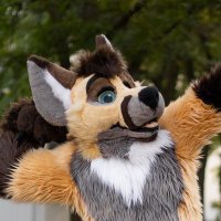 Nap Doggy 🔜 TFF (@napvevo) 's Twitter Profile Photo Nap Doggy 🔜 TFF (@napvevo) 's Twitter Profile Photo
