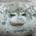 𝗥𝗲𝗶.さんのプロフィール画像