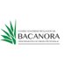 Consejo Sonorense Regulador del Bacanora (@csrb_organismo) Twitter profile photo Consejo Sonorense Regulador del Bacanora (@csrb_organismo) Twitter profile photo