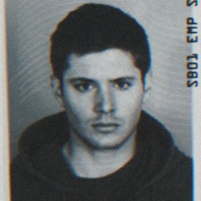 LazytortoRaj's profile picture. idk