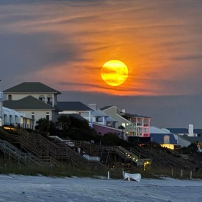 Moods1978's profile picture. Christian, Conservative, Constitutionalist, Bongino Army