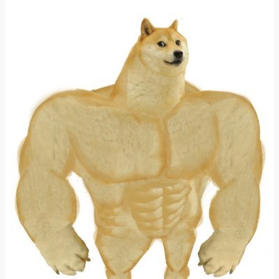 devanplantamura's profile picture. We’ll get to this later