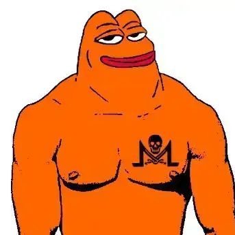 Meme Maxi 🐸 Moonposting 🌔 The Future is Confidential #Monero #XMR #Cryptocurrency #PrivacyCoin