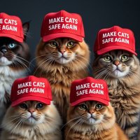 🇺🇸Deplorable Lauren🇺🇸 (@lauren1real) 's Twitter Profile