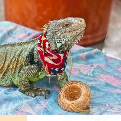 Your one stop shop for all your pets needs! From healthy treats and fun toys, to grooming essentials, we've got everything you need to keep your pets happy!