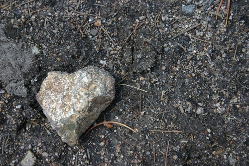 hglasier's profile picture. 