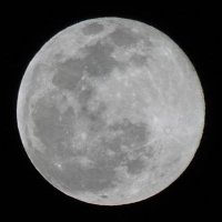 むーん (@moonfall0330) 's Twitter Profile