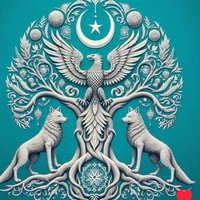 Maniplasyona Karşı (@metehan43138911) 's Twitter Profile
