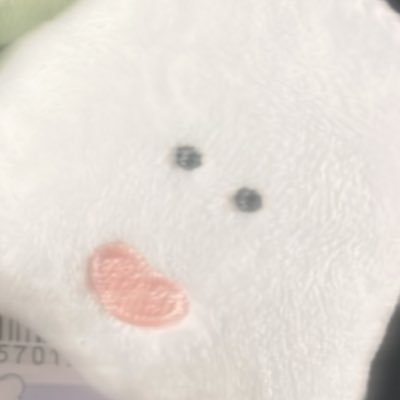 ぶぶこさんのプロフィール画像