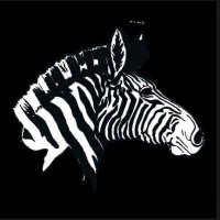 Rochester Zebra AD (@zebraad1) 's Twitter Profile Photo Rochester Zebra AD (@zebraad1) 's Twitter Profile Photo