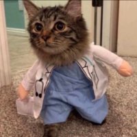 RUBA (@rubiill2) 's Twitter Profile