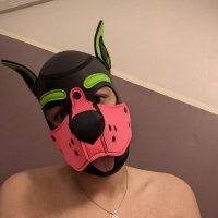 Pup Dendro (@doggy_dendro) 's Twitter Profile Photo