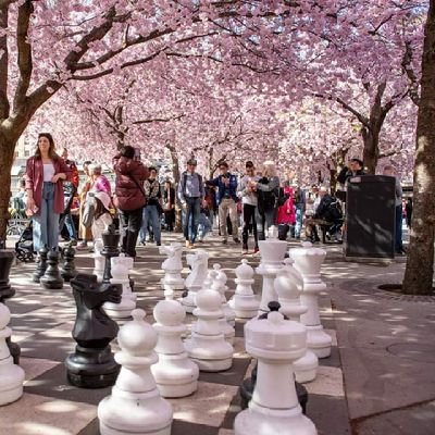 Roben88N's profile picture. 