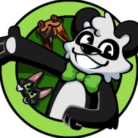Panda Phil (@pandaphilplays) 's Twitter Profile