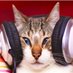 派猫 (@bar97451625) Twitter profile photo 派猫 (@bar97451625) Twitter profile photo
