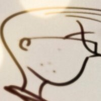 Daynes Guillaume (@akestekop66) 's Twitter Profile