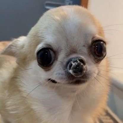서민혁さんのプロフィール画像