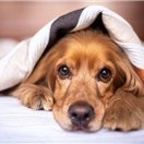 お金を引き寄せる秘訣や有益情報など共有中。自分自身お金に苦労した経験から生活に困っている方の力になれればと思い、わずかですがお金配り企画を実施中。 詳しくはこちら➡ https://t.co/J8UCq17f5d
