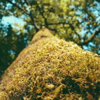 BeamsW1895's profile picture. 
