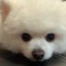 hehexd (@hehexd_____) Twitter profile photo