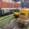 cannonbay2020's profile picture. This my layout called cannon bay