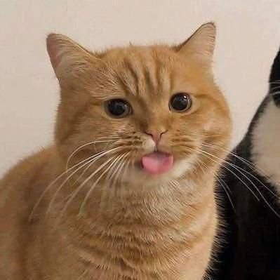 Factoman27's profile picture. anti-marrones limitrofes, anti kukas patria grande
planes sociales y salud pública-educacion solo para argentinos de quinta generacion.
Pro inmigracion europea